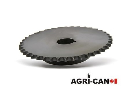 1-1/4'' Bore Sprocket (RC60)