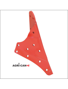 Frog - Salford/Molbro