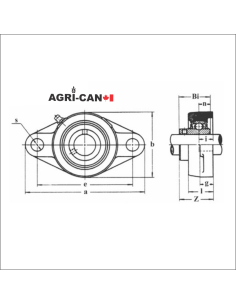 2-Bolt Flange Bearing with Set Screws 2