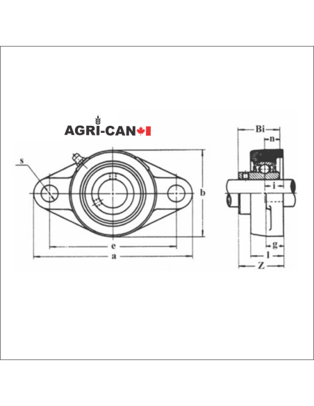 2-Bolt Flange Bearing with Set Screws