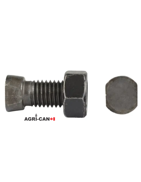 ½'' X 1½'' - Boulons à tête clipsée avec écrous (Pqt de 10)