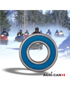 6006-2RK-C3 - Low Temperature / Snowmobile