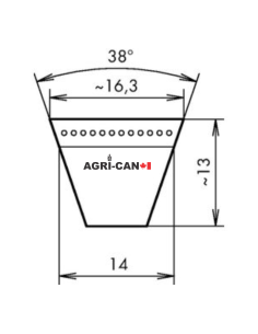 Belt for Maschio Barbi, Bella, Brava, Giraffa,... 2