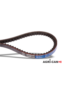 Belt for Maschio Barbi, Bella, Brava, Giraffa,...